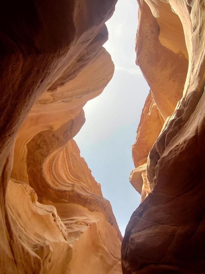Desert Path Be'er Ora Εξωτερικό φωτογραφία