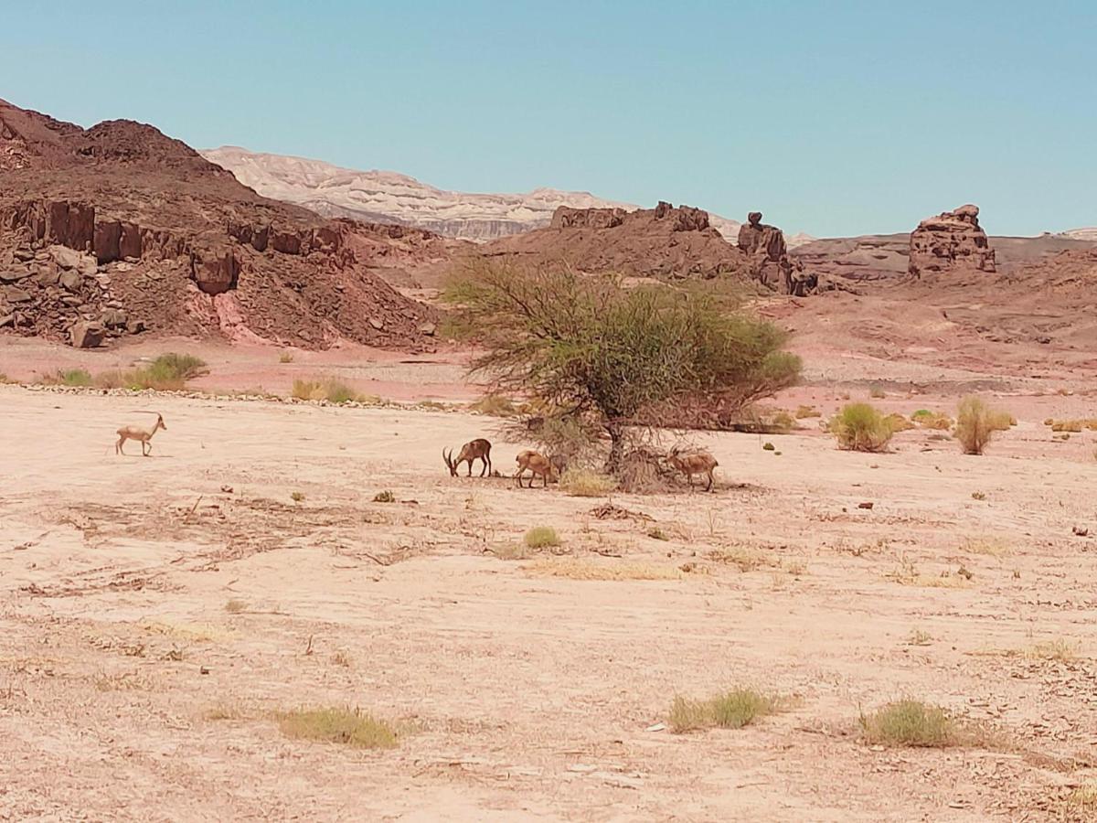 Desert Path Be'er Ora Εξωτερικό φωτογραφία